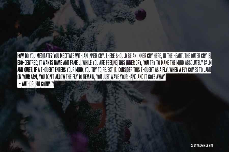 Sri Chinmoy Quotes: How Do You Meditate? You Meditate With An Inner Cry. There Should Be An Inner Cry Here, In The Heart.