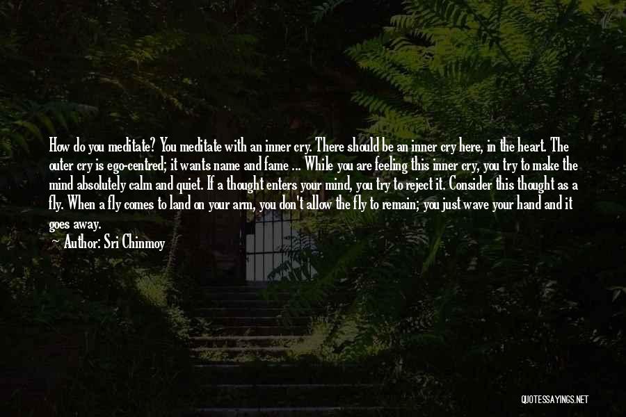 Sri Chinmoy Quotes: How Do You Meditate? You Meditate With An Inner Cry. There Should Be An Inner Cry Here, In The Heart.