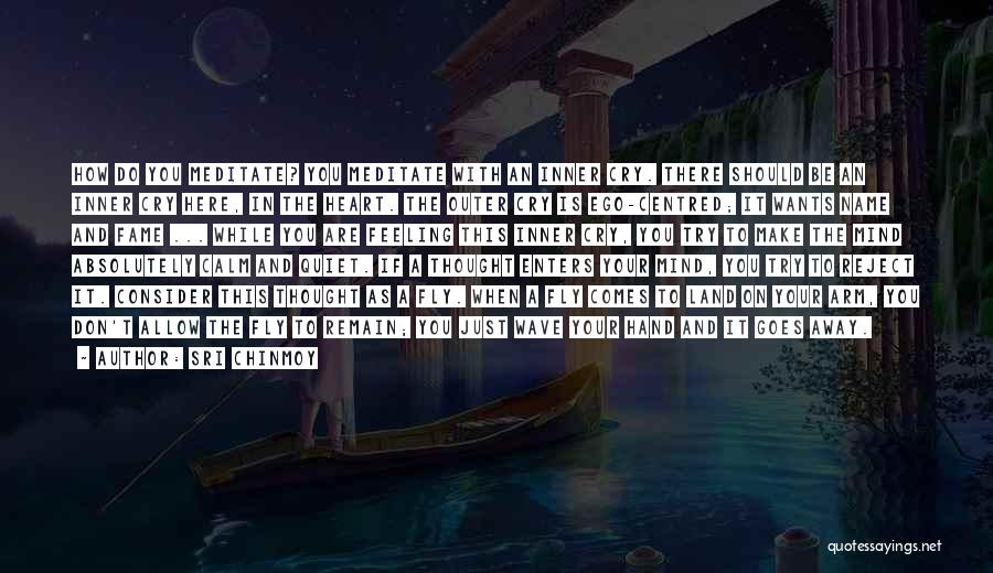 Sri Chinmoy Quotes: How Do You Meditate? You Meditate With An Inner Cry. There Should Be An Inner Cry Here, In The Heart.