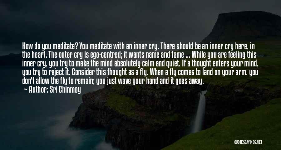 Sri Chinmoy Quotes: How Do You Meditate? You Meditate With An Inner Cry. There Should Be An Inner Cry Here, In The Heart.