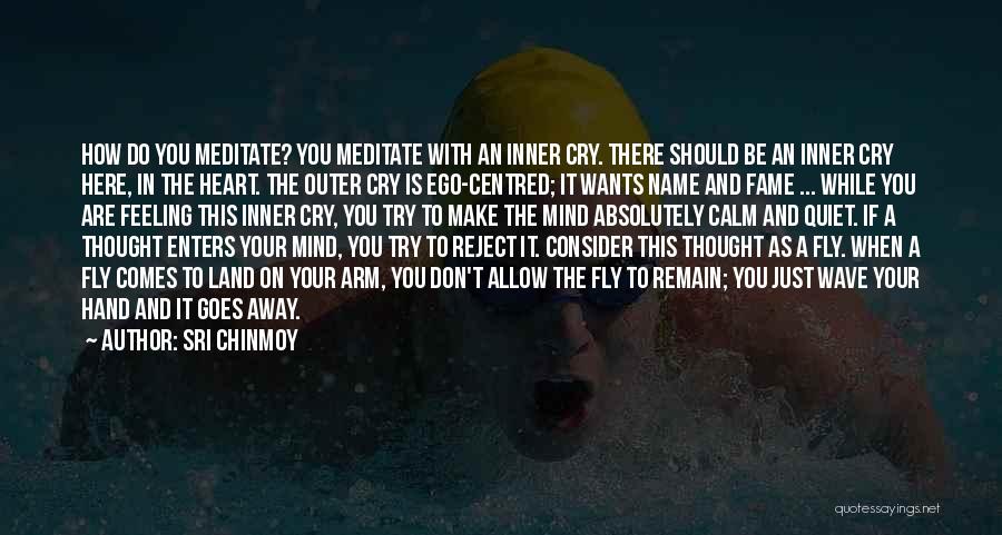 Sri Chinmoy Quotes: How Do You Meditate? You Meditate With An Inner Cry. There Should Be An Inner Cry Here, In The Heart.