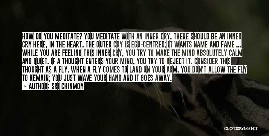 Sri Chinmoy Quotes: How Do You Meditate? You Meditate With An Inner Cry. There Should Be An Inner Cry Here, In The Heart.