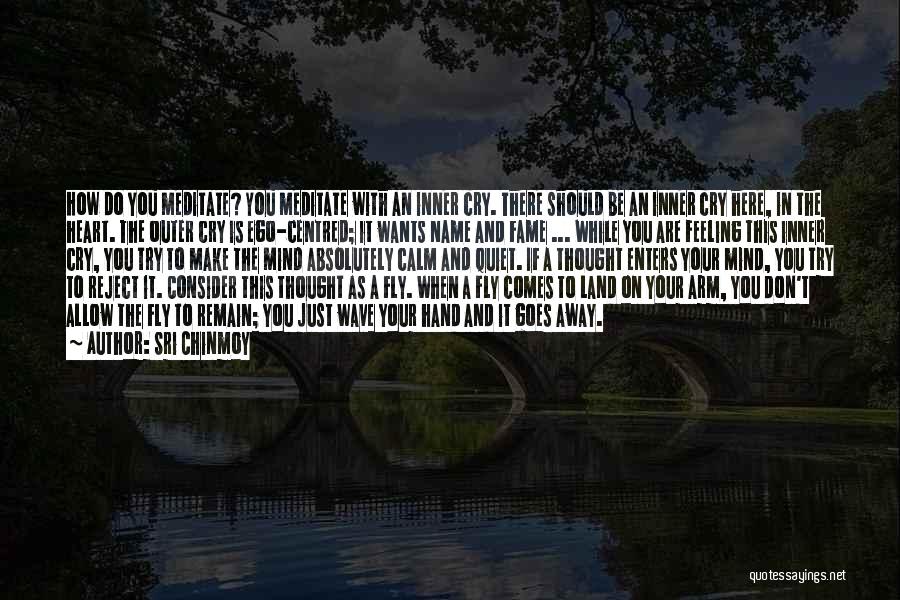 Sri Chinmoy Quotes: How Do You Meditate? You Meditate With An Inner Cry. There Should Be An Inner Cry Here, In The Heart.