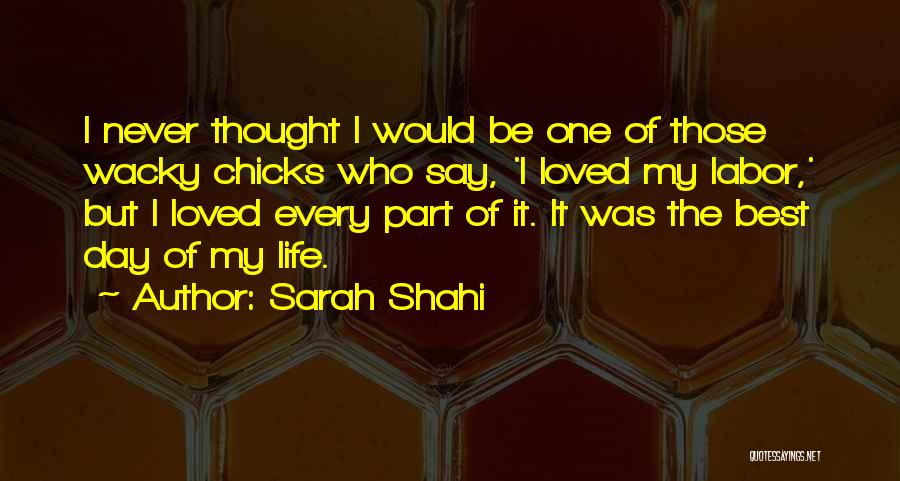 Sarah Shahi Quotes: I Never Thought I Would Be One Of Those Wacky Chicks Who Say, 'i Loved My Labor,' But I Loved