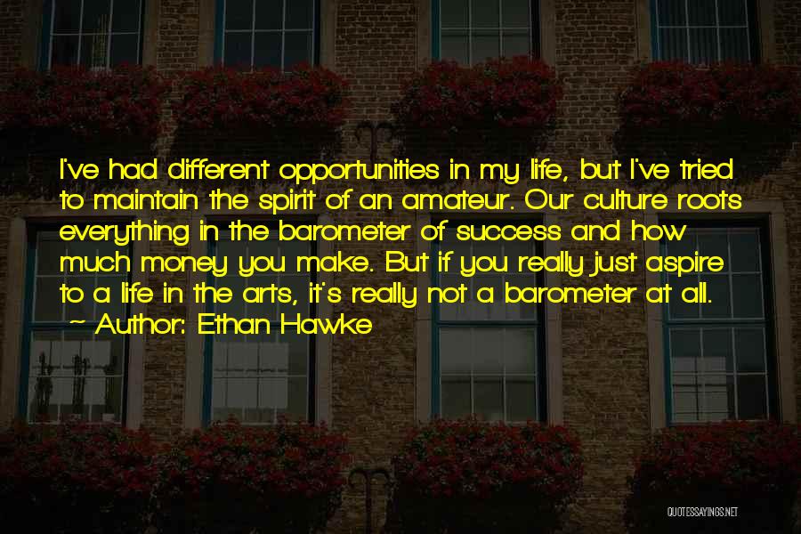Ethan Hawke Quotes: I've Had Different Opportunities In My Life, But I've Tried To Maintain The Spirit Of An Amateur. Our Culture Roots