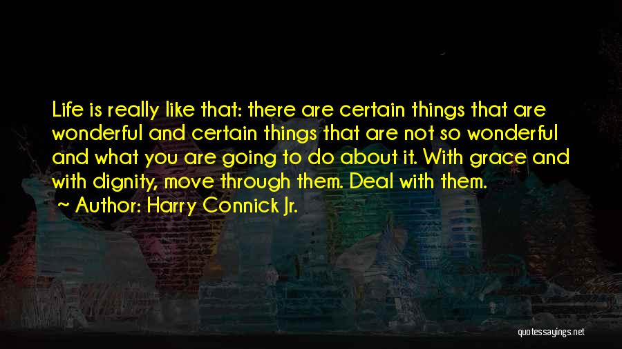 Harry Connick Jr. Quotes: Life Is Really Like That: There Are Certain Things That Are Wonderful And Certain Things That Are Not So Wonderful