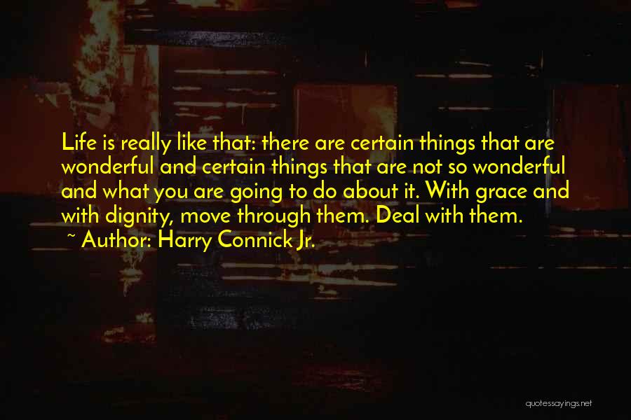 Harry Connick Jr. Quotes: Life Is Really Like That: There Are Certain Things That Are Wonderful And Certain Things That Are Not So Wonderful