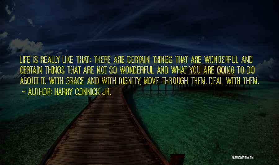 Harry Connick Jr. Quotes: Life Is Really Like That: There Are Certain Things That Are Wonderful And Certain Things That Are Not So Wonderful