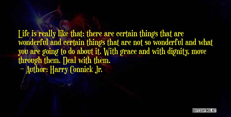 Harry Connick Jr. Quotes: Life Is Really Like That: There Are Certain Things That Are Wonderful And Certain Things That Are Not So Wonderful