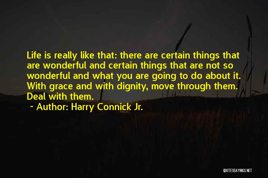 Harry Connick Jr. Quotes: Life Is Really Like That: There Are Certain Things That Are Wonderful And Certain Things That Are Not So Wonderful