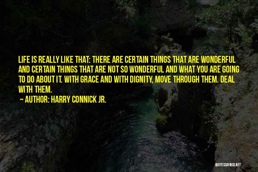 Harry Connick Jr. Quotes: Life Is Really Like That: There Are Certain Things That Are Wonderful And Certain Things That Are Not So Wonderful