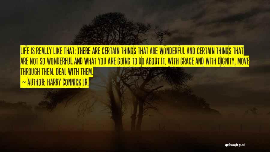 Harry Connick Jr. Quotes: Life Is Really Like That: There Are Certain Things That Are Wonderful And Certain Things That Are Not So Wonderful