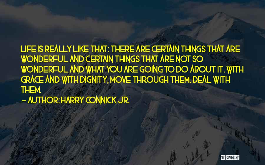 Harry Connick Jr. Quotes: Life Is Really Like That: There Are Certain Things That Are Wonderful And Certain Things That Are Not So Wonderful