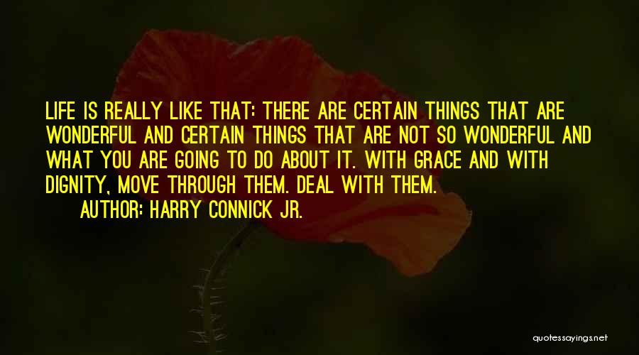 Harry Connick Jr. Quotes: Life Is Really Like That: There Are Certain Things That Are Wonderful And Certain Things That Are Not So Wonderful