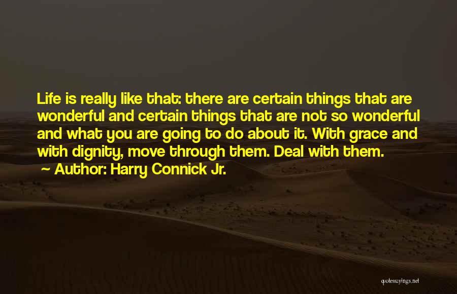 Harry Connick Jr. Quotes: Life Is Really Like That: There Are Certain Things That Are Wonderful And Certain Things That Are Not So Wonderful