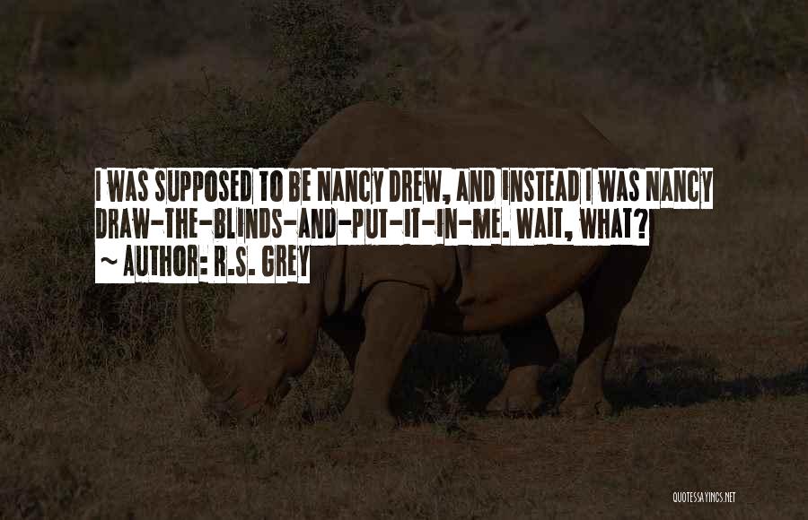 R.S. Grey Quotes: I Was Supposed To Be Nancy Drew, And Instead I Was Nancy Draw-the-blinds-and-put-it-in-me. Wait, What?