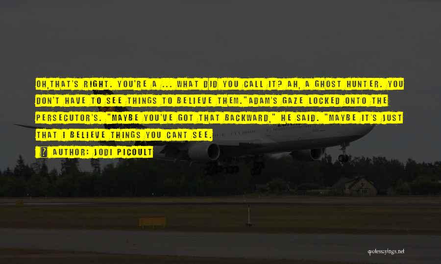 Jodi Picoult Quotes: Oh,that's Right. You're A ... What Did You Call It? Ah, A Ghost Hunter. You Don't Have To See Things