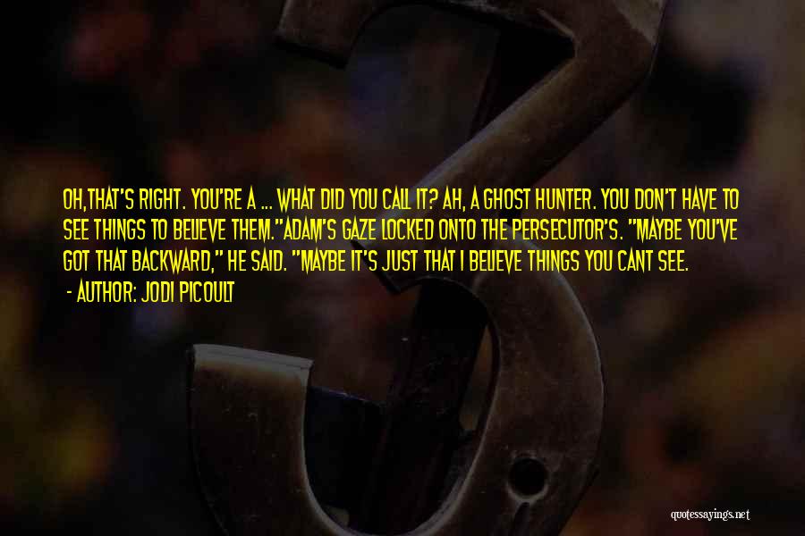 Jodi Picoult Quotes: Oh,that's Right. You're A ... What Did You Call It? Ah, A Ghost Hunter. You Don't Have To See Things