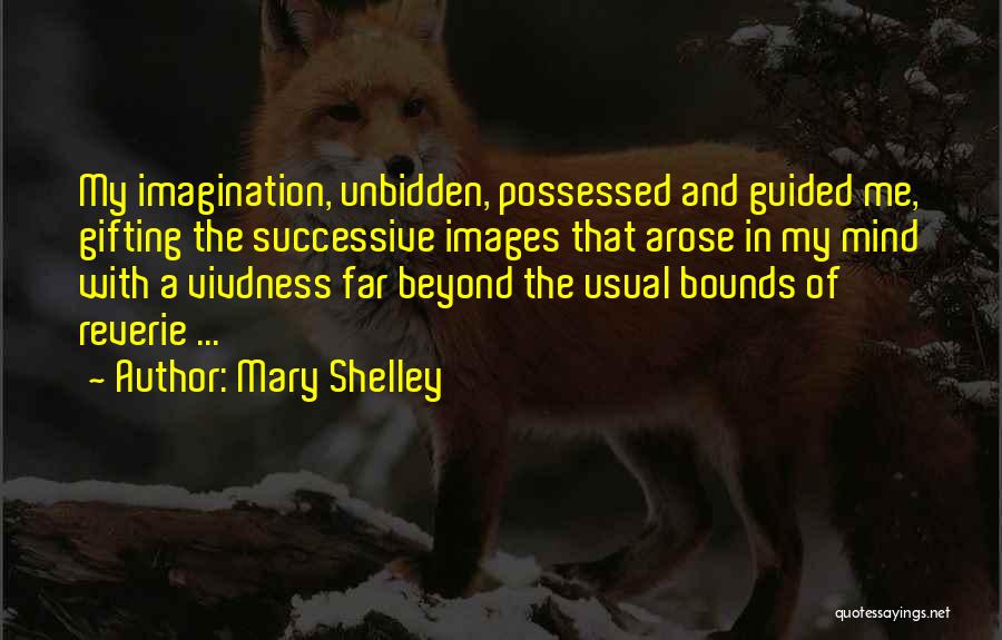 Mary Shelley Quotes: My Imagination, Unbidden, Possessed And Guided Me, Gifting The Successive Images That Arose In My Mind With A Vivdness Far