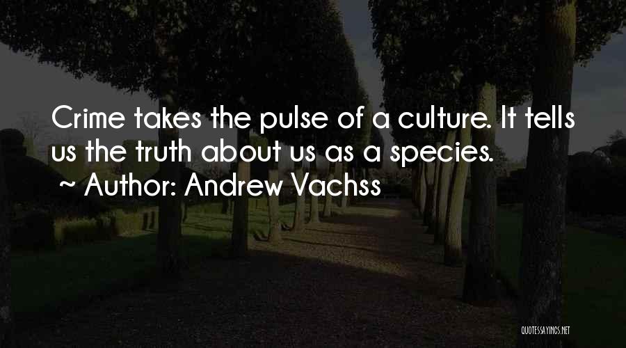 Andrew Vachss Quotes: Crime Takes The Pulse Of A Culture. It Tells Us The Truth About Us As A Species.