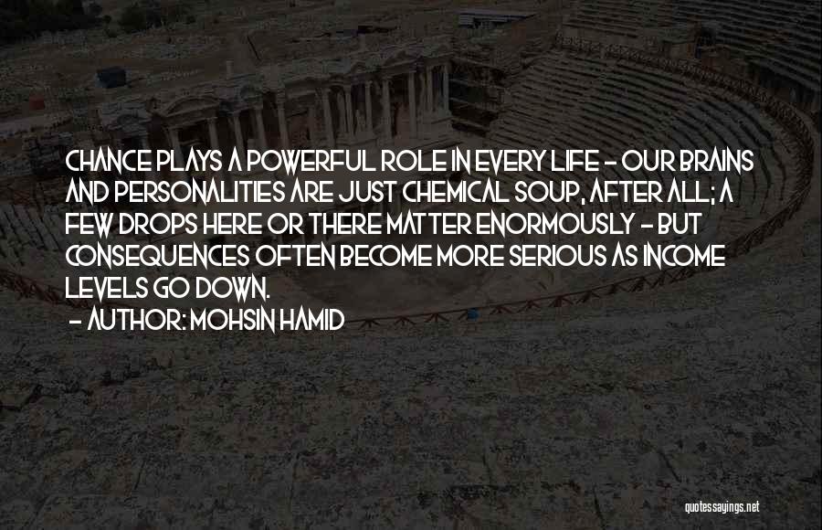 Mohsin Hamid Quotes: Chance Plays A Powerful Role In Every Life - Our Brains And Personalities Are Just Chemical Soup, After All; A