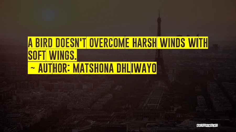 Matshona Dhliwayo Quotes: A Bird Doesn't Overcome Harsh Winds With Soft Wings.