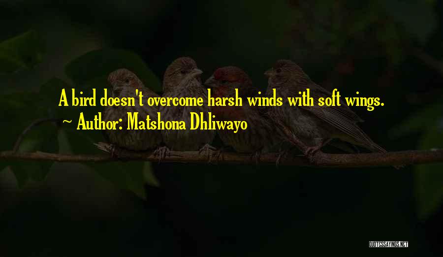Matshona Dhliwayo Quotes: A Bird Doesn't Overcome Harsh Winds With Soft Wings.