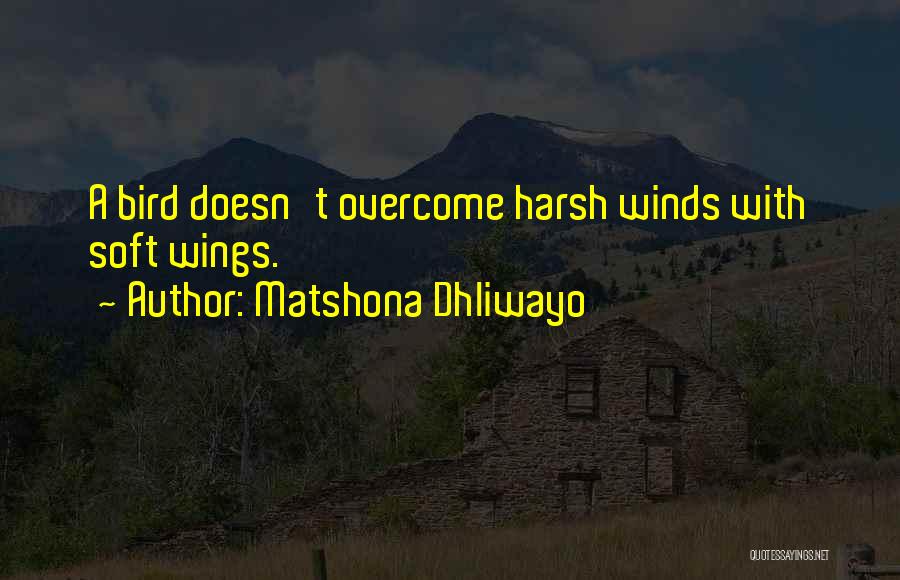 Matshona Dhliwayo Quotes: A Bird Doesn't Overcome Harsh Winds With Soft Wings.