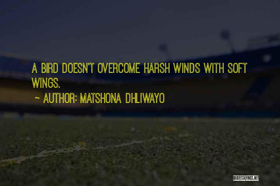 Matshona Dhliwayo Quotes: A Bird Doesn't Overcome Harsh Winds With Soft Wings.