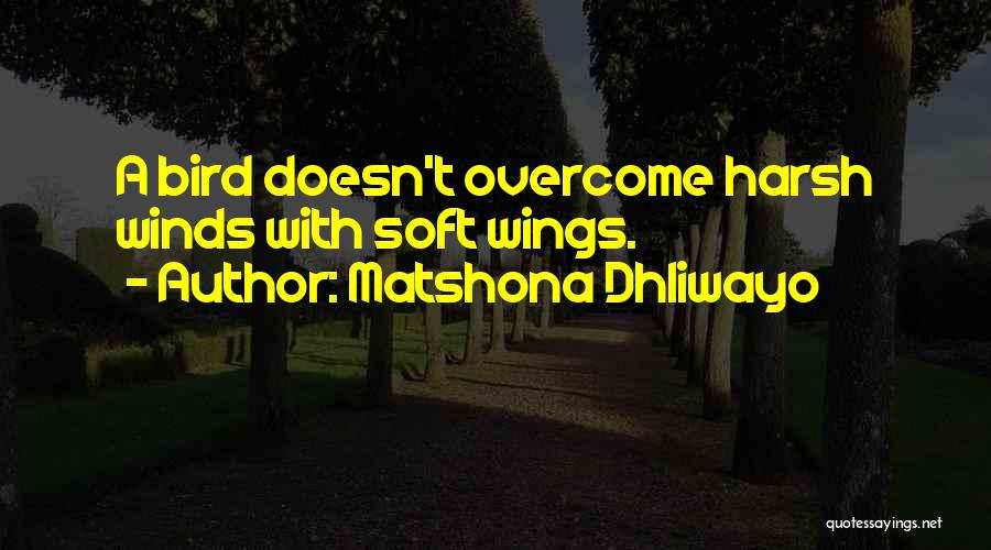 Matshona Dhliwayo Quotes: A Bird Doesn't Overcome Harsh Winds With Soft Wings.