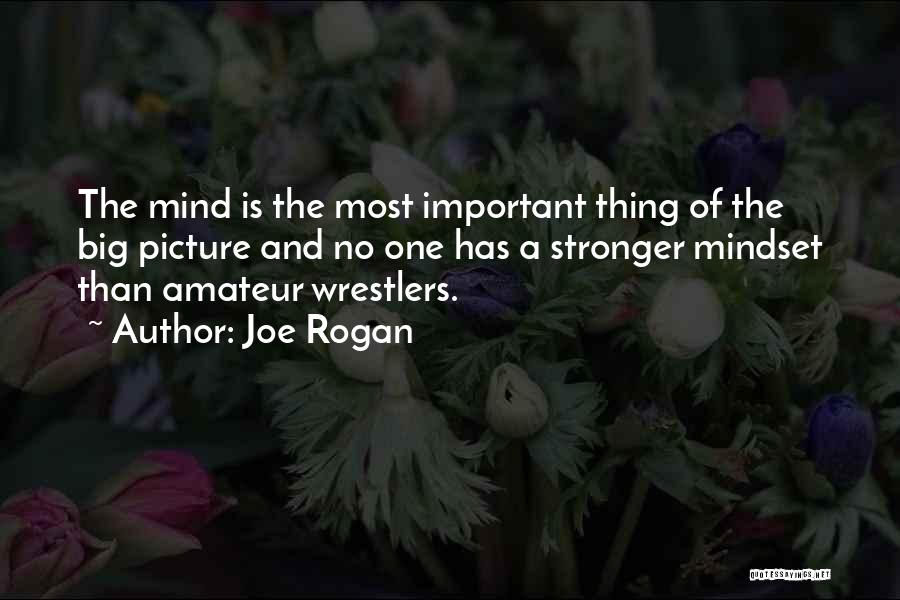 Joe Rogan Quotes: The Mind Is The Most Important Thing Of The Big Picture And No One Has A Stronger Mindset Than Amateur