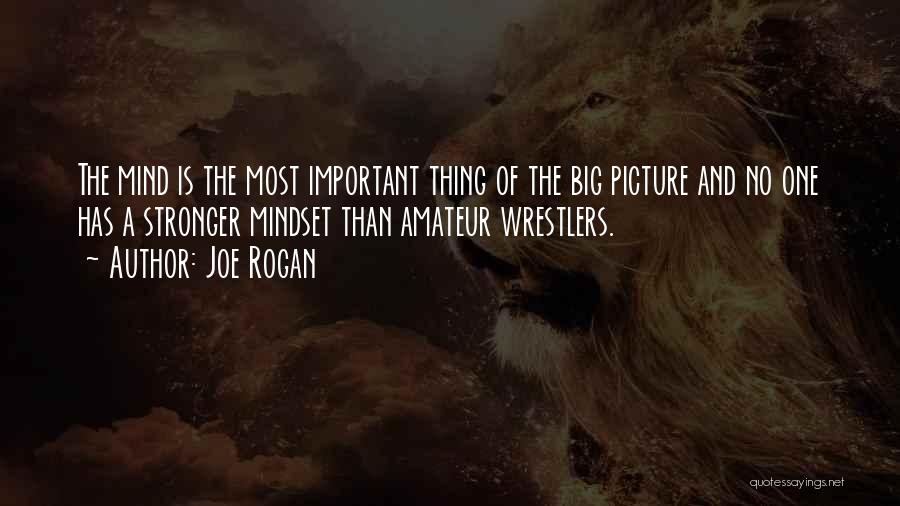 Joe Rogan Quotes: The Mind Is The Most Important Thing Of The Big Picture And No One Has A Stronger Mindset Than Amateur