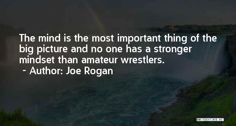 Joe Rogan Quotes: The Mind Is The Most Important Thing Of The Big Picture And No One Has A Stronger Mindset Than Amateur