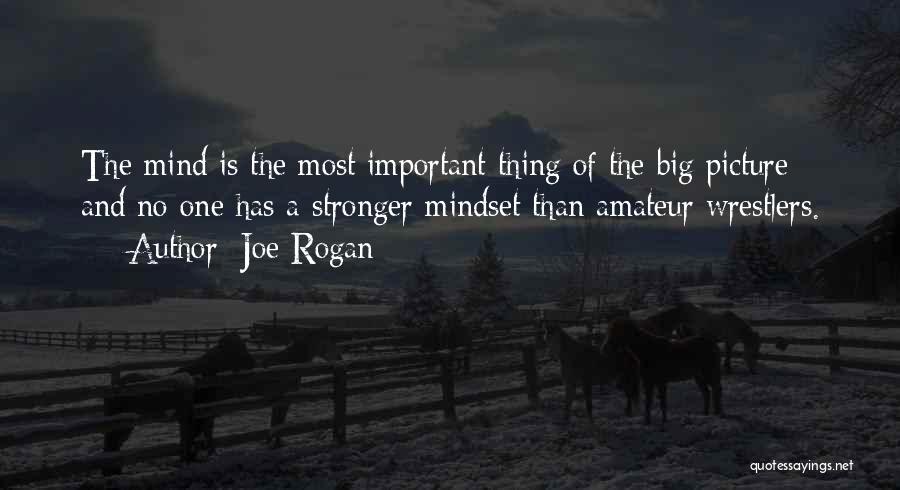 Joe Rogan Quotes: The Mind Is The Most Important Thing Of The Big Picture And No One Has A Stronger Mindset Than Amateur