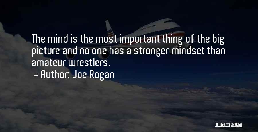 Joe Rogan Quotes: The Mind Is The Most Important Thing Of The Big Picture And No One Has A Stronger Mindset Than Amateur