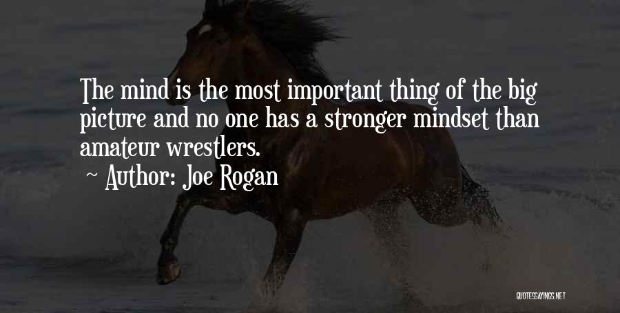 Joe Rogan Quotes: The Mind Is The Most Important Thing Of The Big Picture And No One Has A Stronger Mindset Than Amateur
