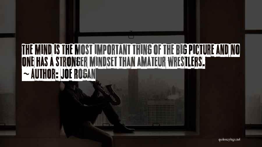 Joe Rogan Quotes: The Mind Is The Most Important Thing Of The Big Picture And No One Has A Stronger Mindset Than Amateur