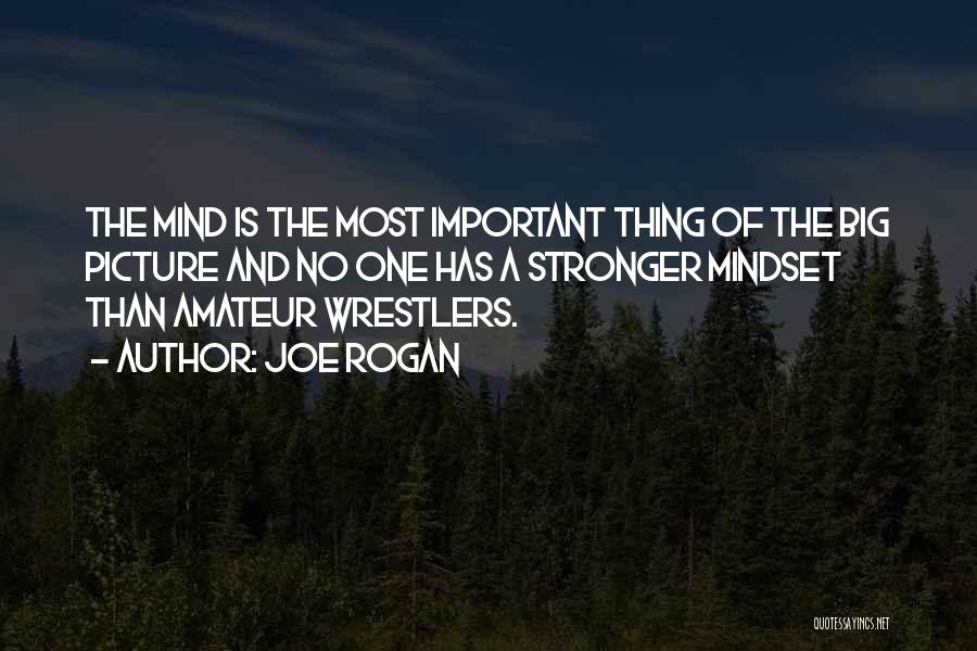 Joe Rogan Quotes: The Mind Is The Most Important Thing Of The Big Picture And No One Has A Stronger Mindset Than Amateur