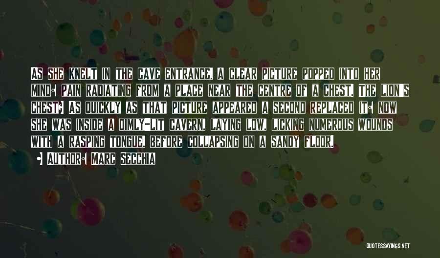 Marc Secchia Quotes: As She Knelt In The Cave Entrance, A Clear Picture Popped Into Her Mind: Pain Radiating From A Place Near