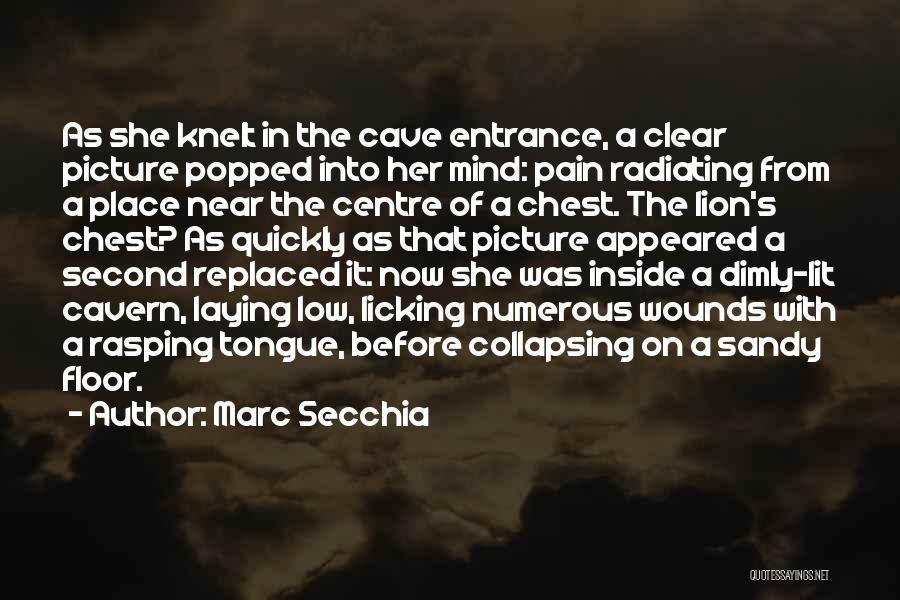 Marc Secchia Quotes: As She Knelt In The Cave Entrance, A Clear Picture Popped Into Her Mind: Pain Radiating From A Place Near