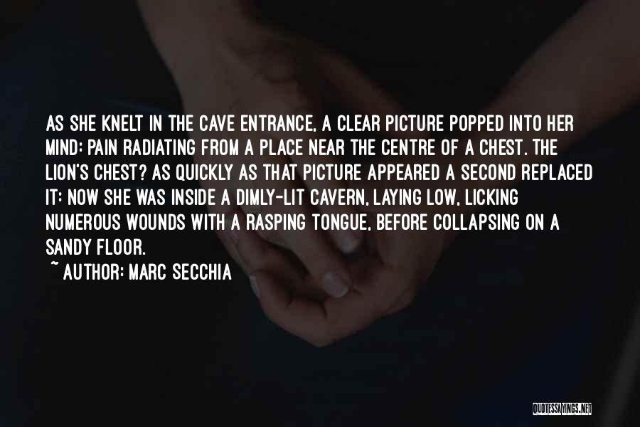 Marc Secchia Quotes: As She Knelt In The Cave Entrance, A Clear Picture Popped Into Her Mind: Pain Radiating From A Place Near