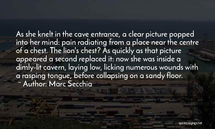 Marc Secchia Quotes: As She Knelt In The Cave Entrance, A Clear Picture Popped Into Her Mind: Pain Radiating From A Place Near