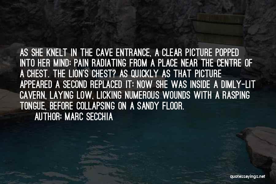 Marc Secchia Quotes: As She Knelt In The Cave Entrance, A Clear Picture Popped Into Her Mind: Pain Radiating From A Place Near