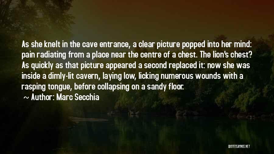 Marc Secchia Quotes: As She Knelt In The Cave Entrance, A Clear Picture Popped Into Her Mind: Pain Radiating From A Place Near