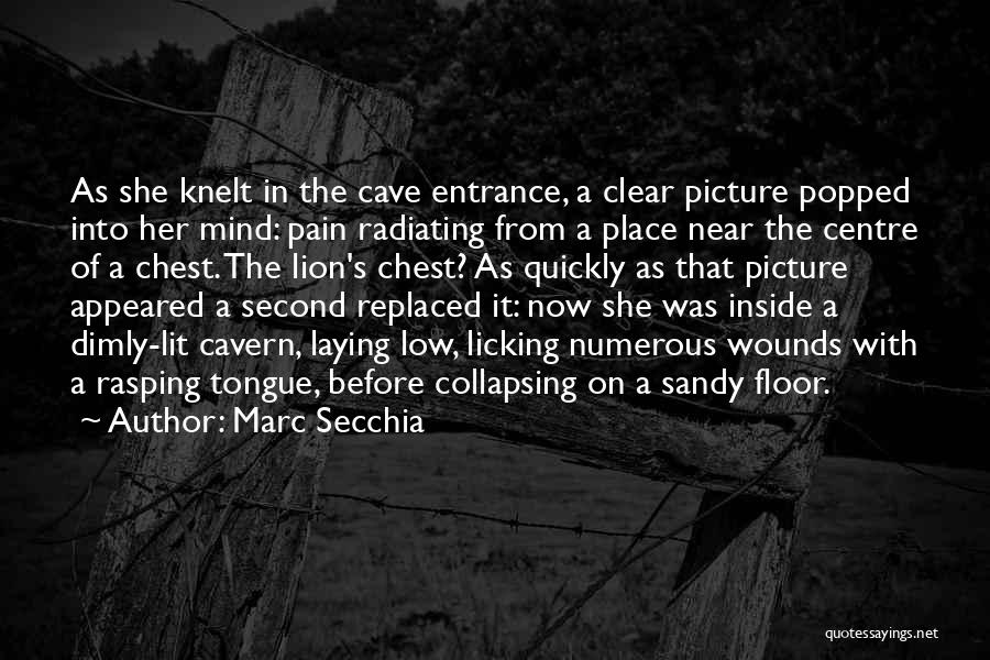 Marc Secchia Quotes: As She Knelt In The Cave Entrance, A Clear Picture Popped Into Her Mind: Pain Radiating From A Place Near