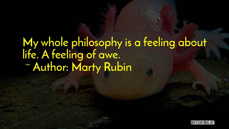 Marty Rubin Quotes: My Whole Philosophy Is A Feeling About Life. A Feeling Of Awe.