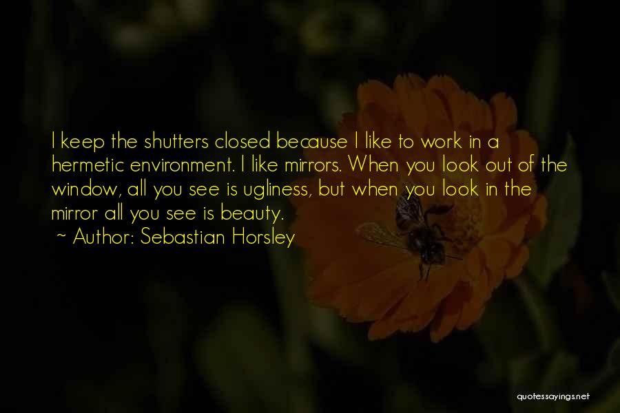 Sebastian Horsley Quotes: I Keep The Shutters Closed Because I Like To Work In A Hermetic Environment. I Like Mirrors. When You Look