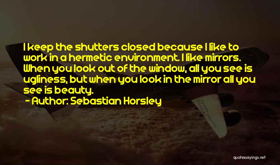 Sebastian Horsley Quotes: I Keep The Shutters Closed Because I Like To Work In A Hermetic Environment. I Like Mirrors. When You Look