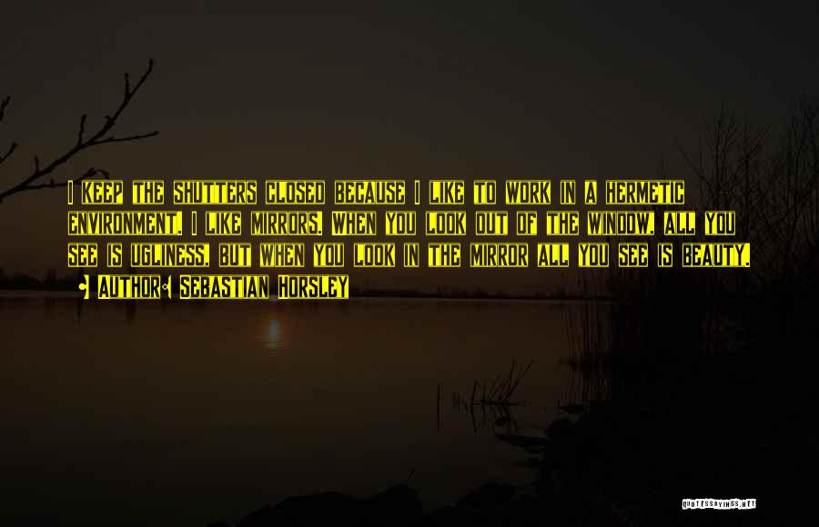 Sebastian Horsley Quotes: I Keep The Shutters Closed Because I Like To Work In A Hermetic Environment. I Like Mirrors. When You Look