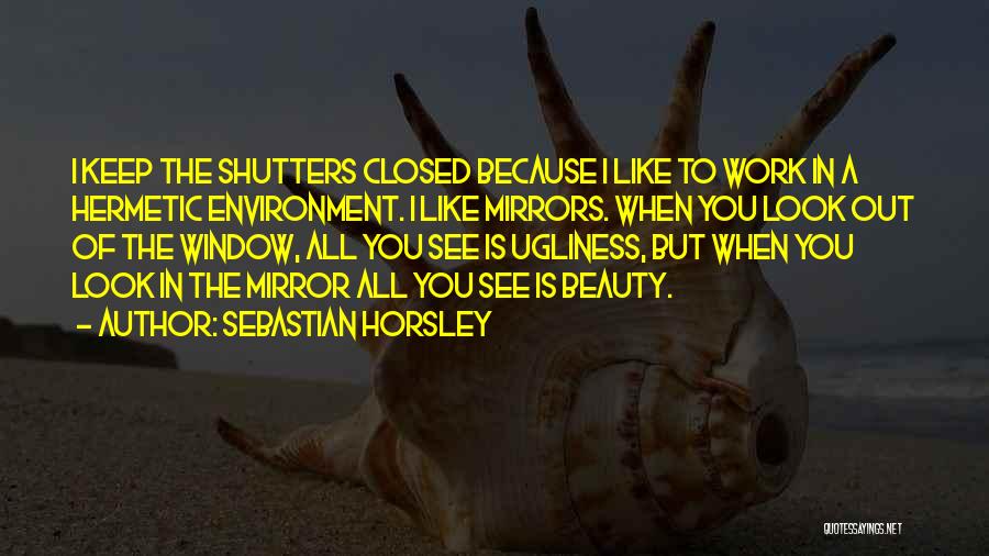 Sebastian Horsley Quotes: I Keep The Shutters Closed Because I Like To Work In A Hermetic Environment. I Like Mirrors. When You Look